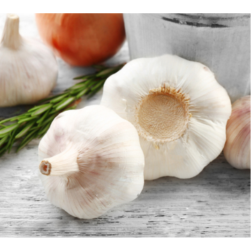 hot sale 4.5cm 5.0cm 5.5cm 6.0cm chinese fresh pure white garlic normal white garlic